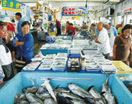 沖繩市漁業協同組合PAYAO食堂