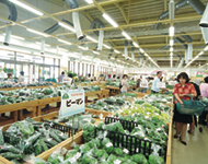 JA沖繩中部農產市場